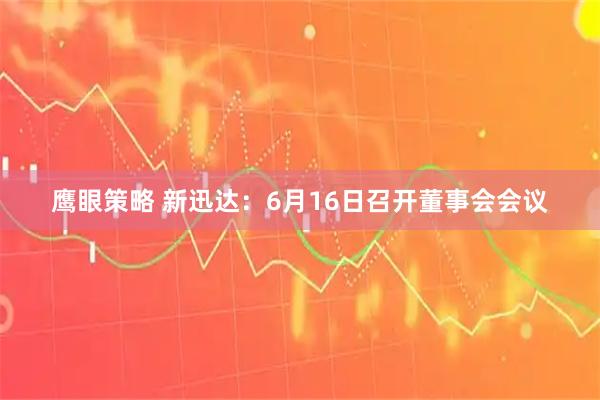 鹰眼策略 新迅达：6月16日召开董事会会议