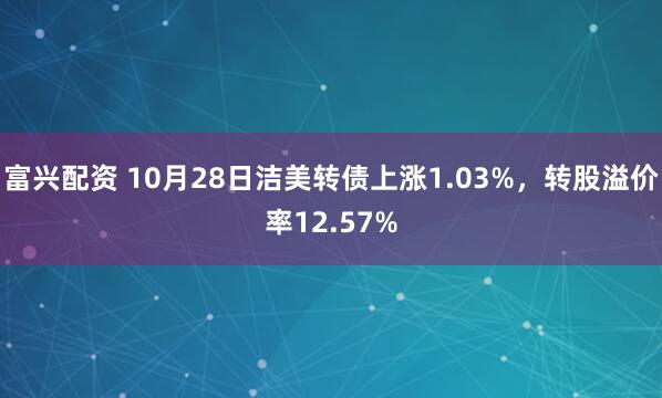 富兴配资 10月28日洁美转债上涨1.03%,转股溢价率12.57%