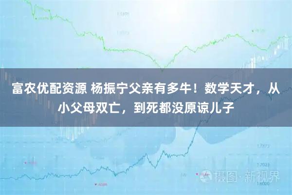 富农优配资源 杨振宁父亲有多牛!数学天才,从小父母双亡,到死都没原谅儿子