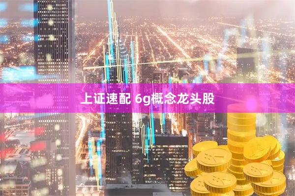 上证速配 6g概念龙头股