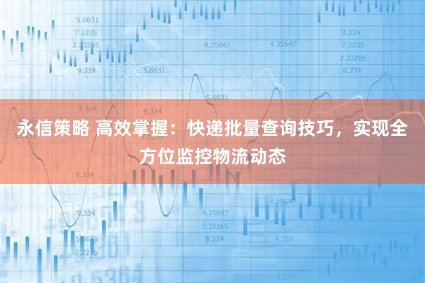 永信策略 高效掌握：快递批量查询技巧，实现全方位监控物流动态