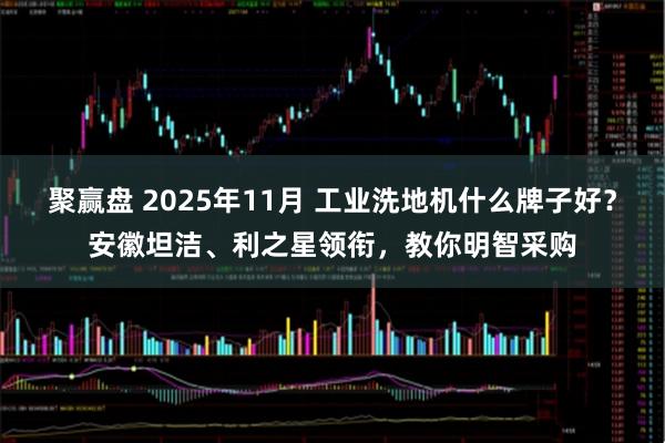 聚赢盘 2025年11月 工业洗地机什么牌子好?安徽坦洁、利之星领衔,教你明智采购