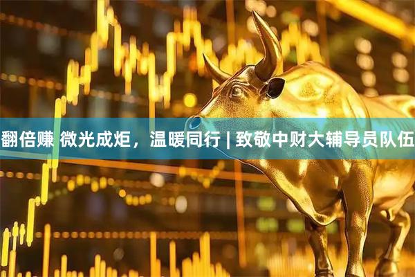 翻倍赚 微光成炬，温暖同行 | 致敬中财大辅导员队伍
